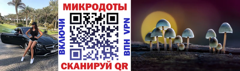 Галлюциногенные грибы ЛСД Славск