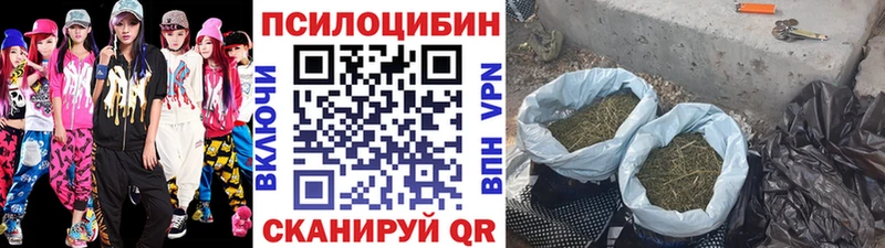 Псилоцибиновые грибы Psilocybe  Купить где  Славск 
